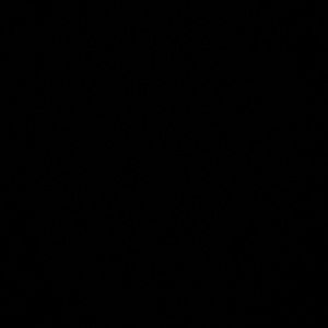 Meet your Posher, Hassan